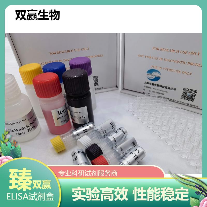 大鼠鞘氨醇激酶(SPK)ELISA试剂盒