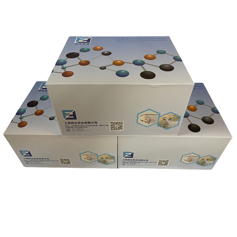 人脑源性神经营养因子(BDNF)ELISA试剂盒