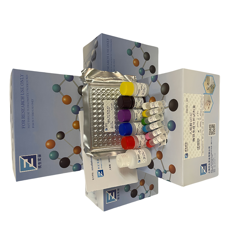 人脑源性神经营养因子(BDNF)ELISA试剂盒