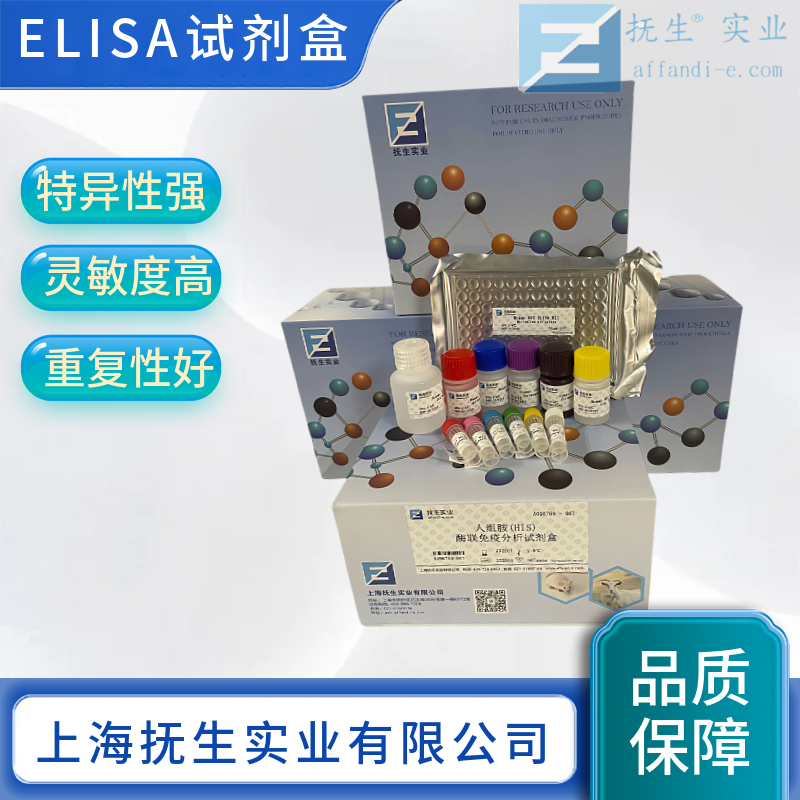 人白介素6(IL-6)ELISA试剂盒