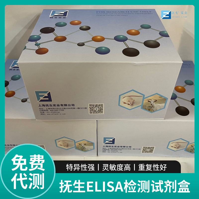 人尿激酶型纤溶酶原激活物(uPA)elisa试剂盒