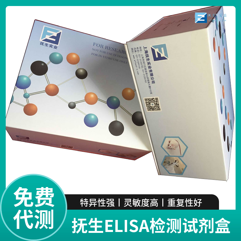 人核因子κB受体激活因子(RANk)ELISA试剂盒