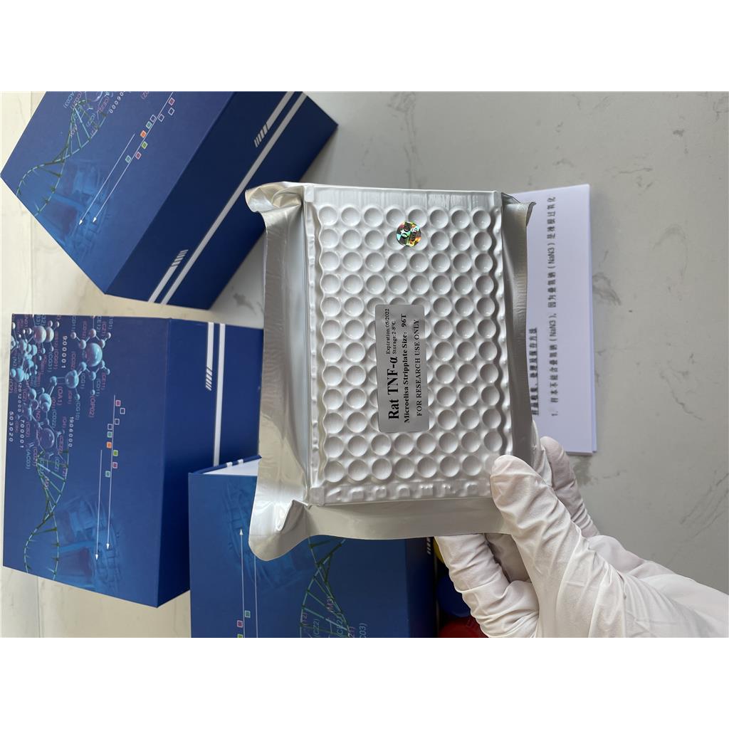 人20-羟化二十碳四烯酸(20-HETE)ELISA试剂盒