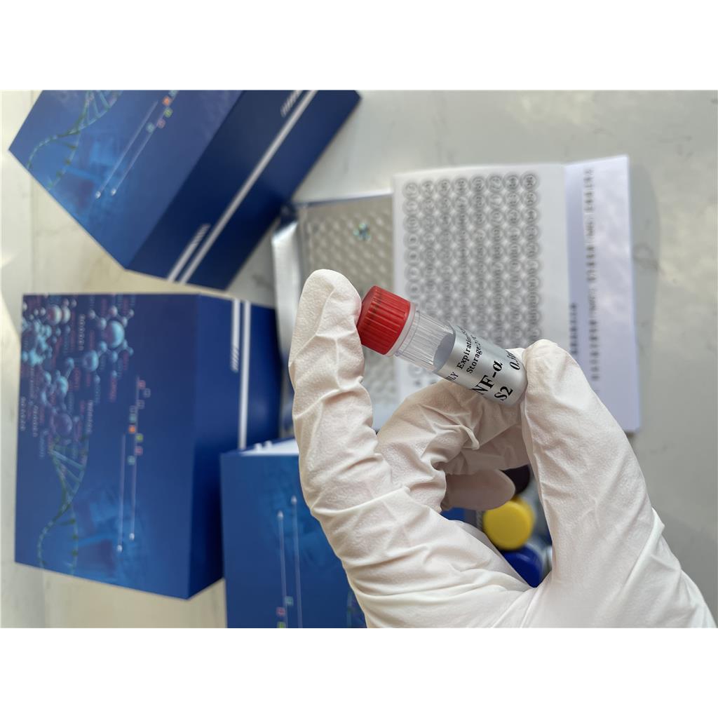 人β2糖蛋白1IgA抗体(β2-GP1-IgA)ELISA试剂盒