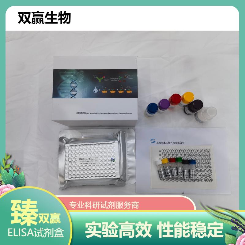 大鼠ATP酶(ATPase)ELISA试剂盒