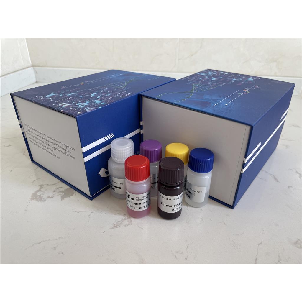 人金属硫蛋白(MT）ELISA试剂盒