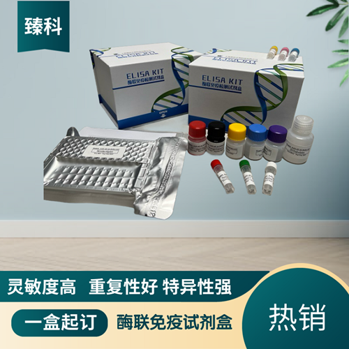 小鼠凝血因子Ⅷ相关抗原(FⅧ-Ag）ELISA试剂盒