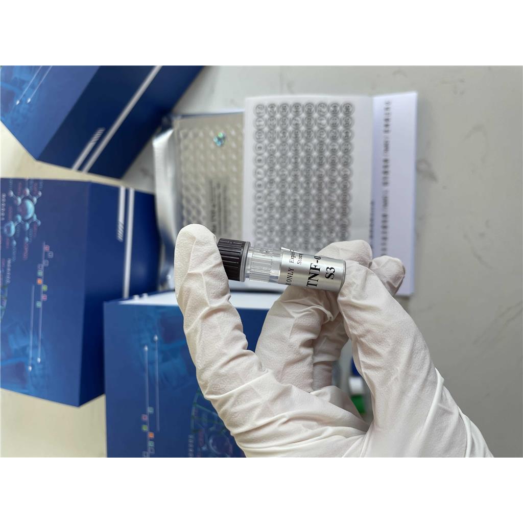 人1,3-二磷酸甘油酸(1,3-DPG）ELISA试剂盒