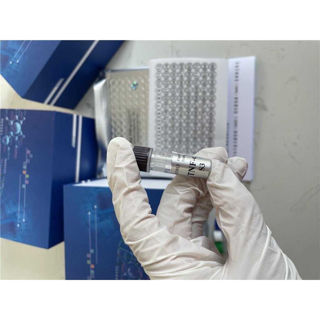 人1,3-二磷酸甘油酸(1,3-DPG）ELISA试剂盒