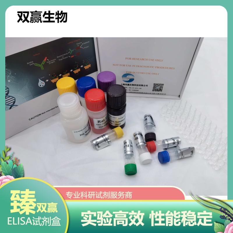 大鼠磺基转移酶(SULT)ELISA试剂盒