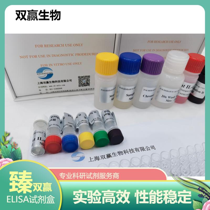 大鼠补体蛋白9(C9)ELISA试剂盒