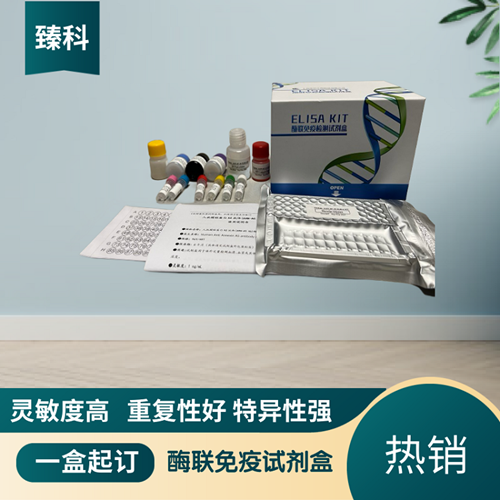 大鼠5脂加氧酶(5-LOX）ELISA试剂盒