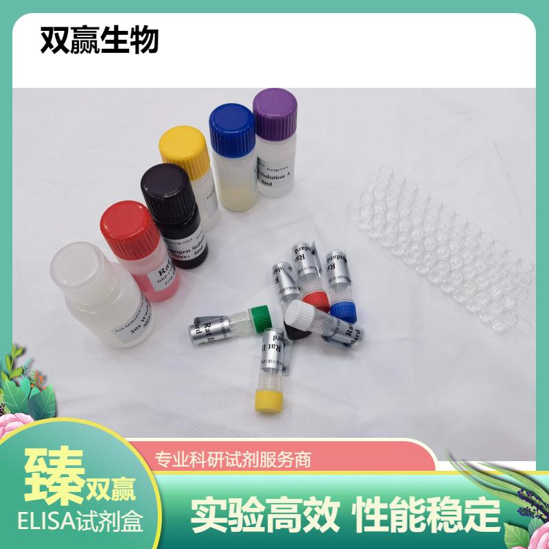 大鼠信号素6B(SEMA6B)ELISA试剂盒