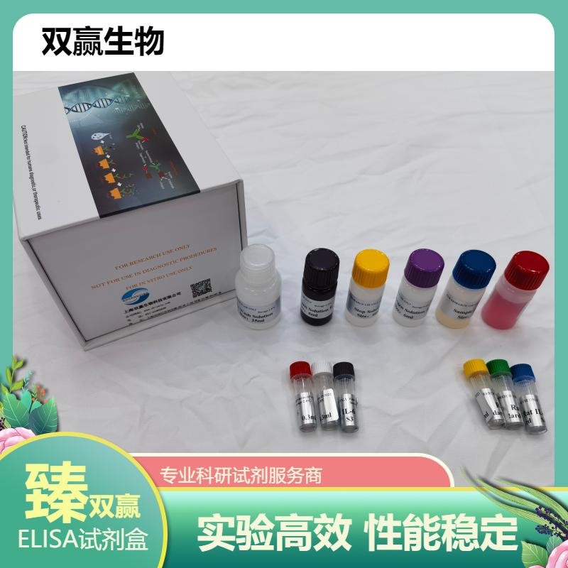 大鼠信号素6B(SEMA6B)ELISA试剂盒