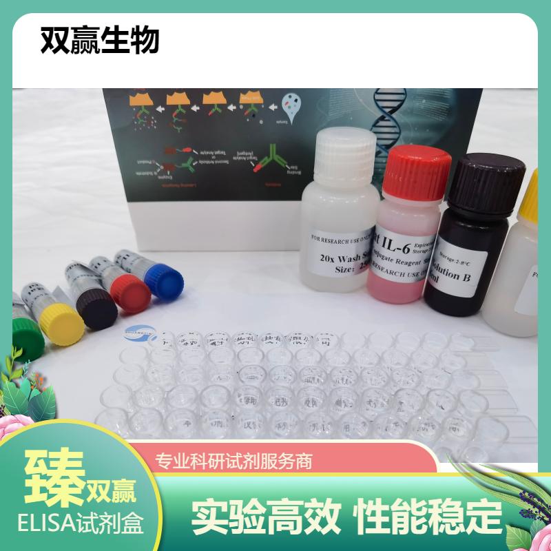 大鼠FK506结合蛋白12-雷帕霉素相关蛋白(FRAP1)ELISA试剂盒