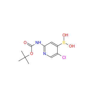 (2-((叔丁氧羰基)氨基)-5-氯吡啶-4-基)硼酸