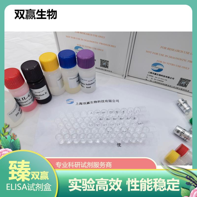 大鼠三磷酸腺苷酶(ATPase)ELISA试剂盒