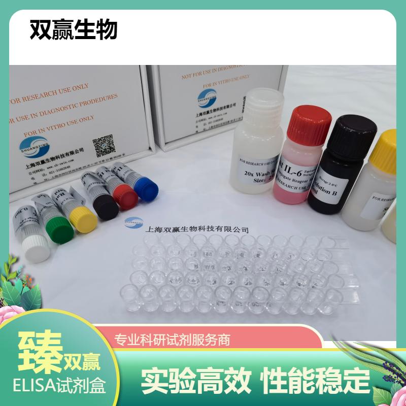 大鼠胆囊收缩素8(CCk-8)ELISA试剂盒
