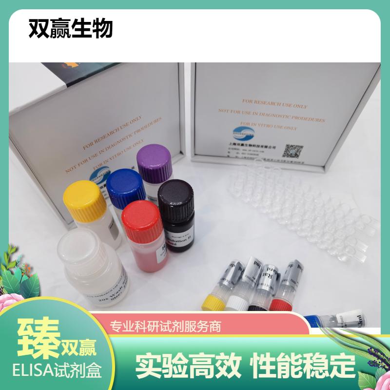 大鼠重组结核杆菌热休克蛋白-65(HSP65)ELISA试剂盒