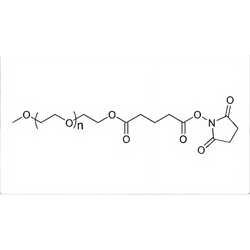 聚乙二醇单甲醚琥珀酰亚胺戊二酸酯，mPEG-SG