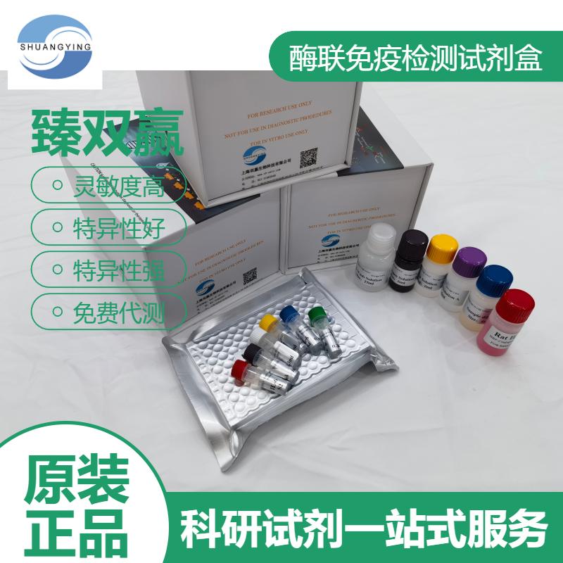 小鼠粘蛋白5B(MUC5B)ELISA试剂盒
