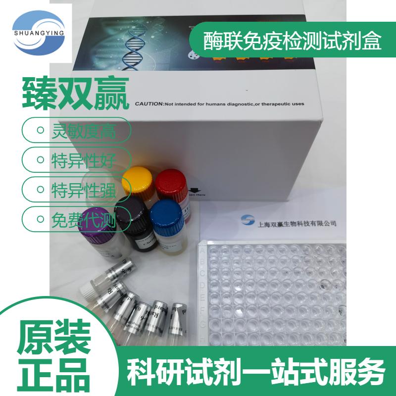 小鼠α突触核蛋白(α-SYN)ELISA试剂盒