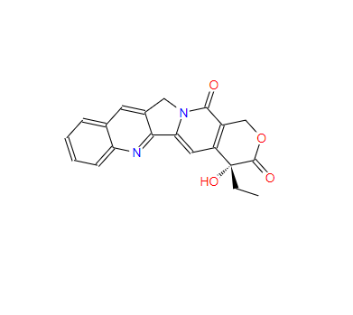 右旋喜树碱 110351-92-3