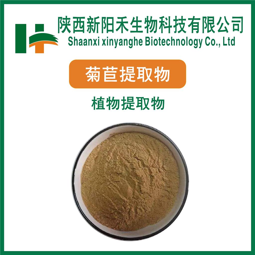 菊苣提取物   