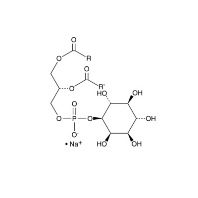 aladdin 阿拉丁 L752252 L-α-磷脂酰肌醇(大豆)(钠盐) 383907-36-6 ≥98%,50 mg/mL in chloroform