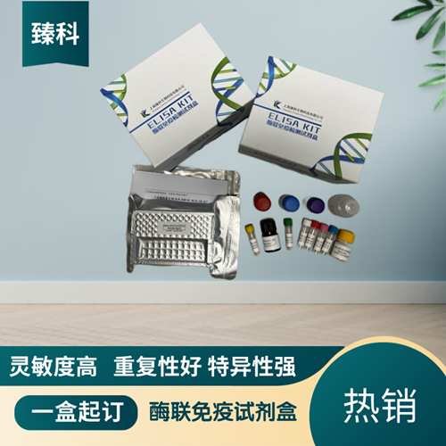 小鼠白介素22(IL-22）ELISA试剂盒