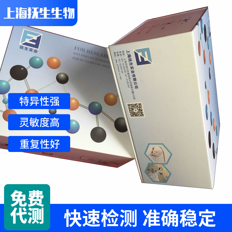 小鼠γ干扰素(IFN-γ)ELISA试剂盒