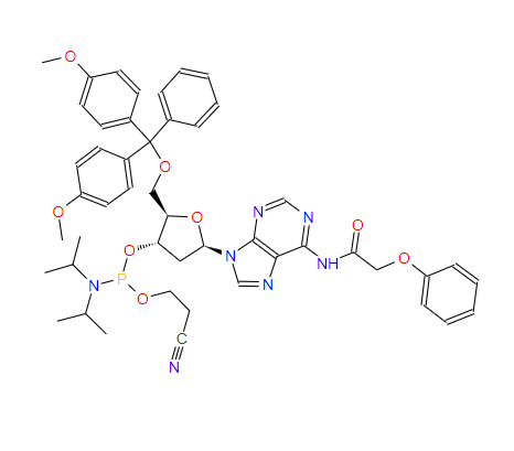 5'-O-[二(4-甲氧基苯基)苯基甲基]-2'-脱氧-N-(苯氧基乙酰基)-腺苷 3'-[2-氰基乙基 二异丙基亚磷酰胺]