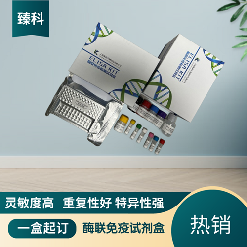 大鼠Klotho蛋白(Klotho）ELISA试剂盒