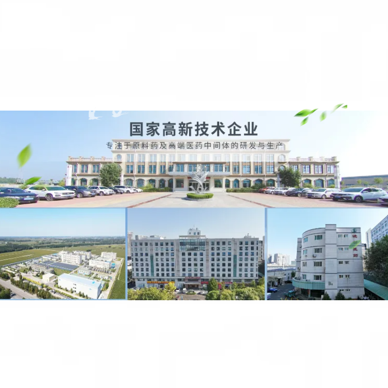 对肼基苯磺酰胺盐酸盐 塞来昔布中间体