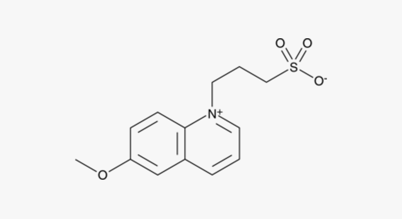 SPQ氯离子荧光探针，83907-40-8