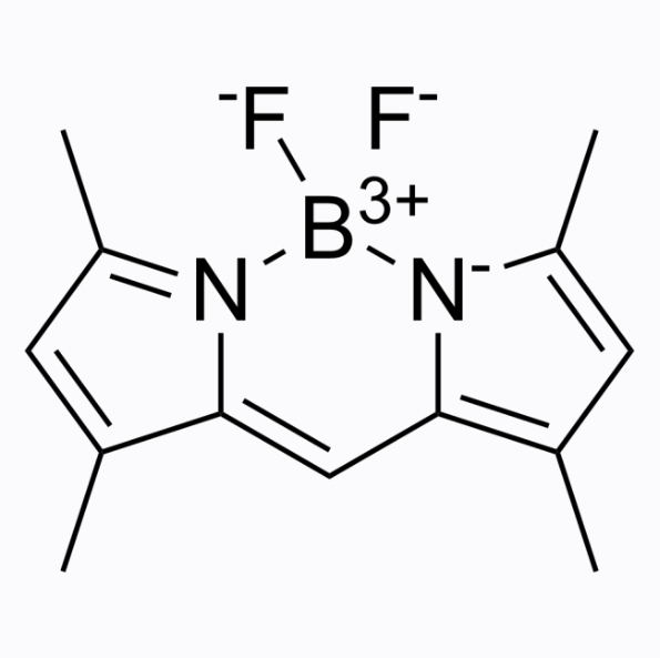 21658-70-8，BODIPY 505/515