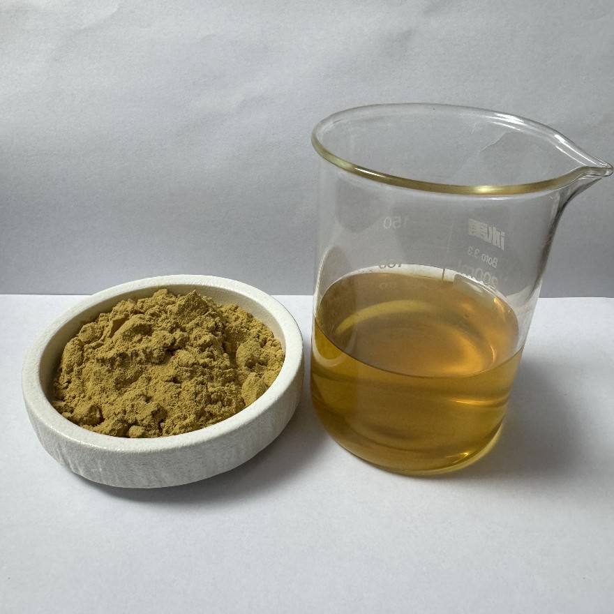 苹果提取物/苹果多酚