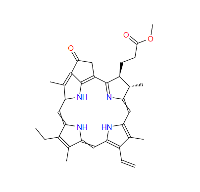 焦脱镁叶绿酸Α甲酯