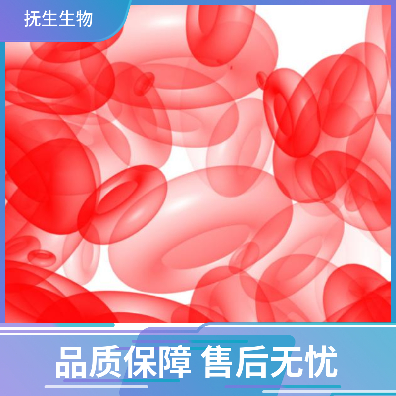 PC-3人前列腺癌细胞