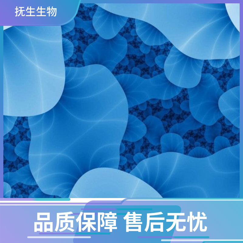 NCI-H2444人非小细胞肺癌细胞