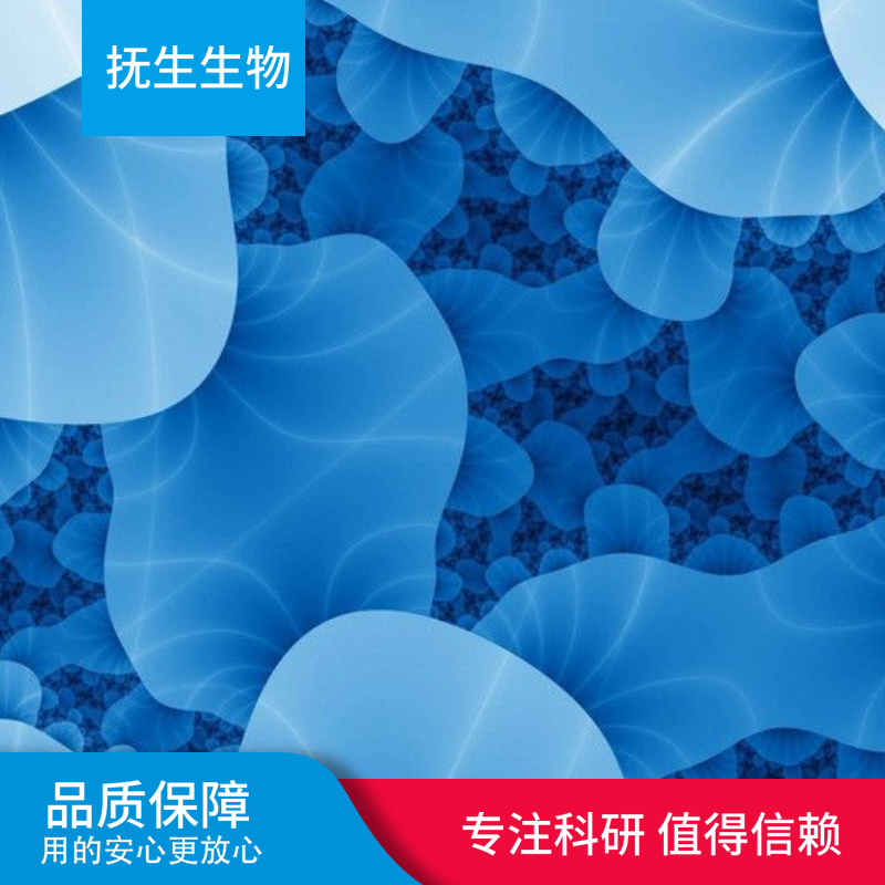 人子宫颈癌细胞；HELA-XB