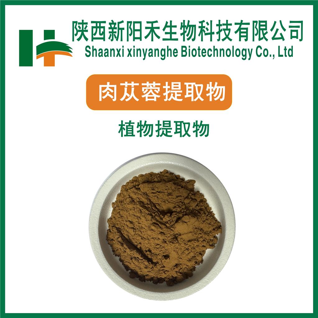 肉苁蓉提取物 