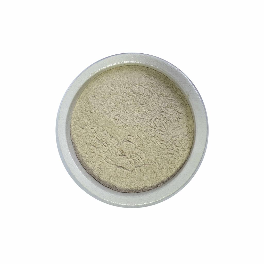 山药提取物    山药粉