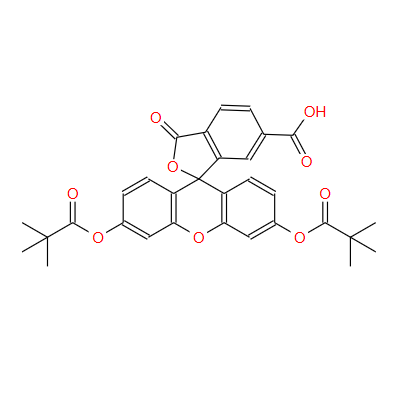 	6-羧基荧光素 DIPIVALATE