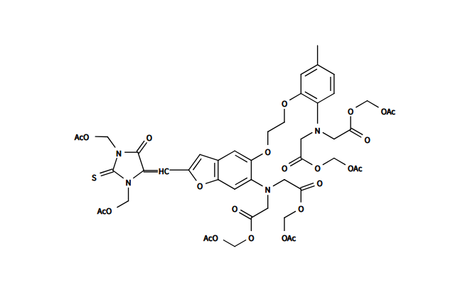 钙离子荧光探针Fura?Red, AM，149732-62-7
