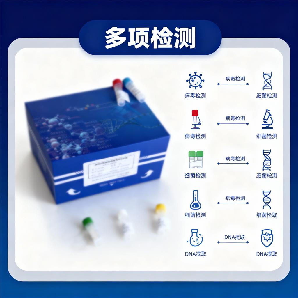 人(PAD-4 Ab）ELISA试剂盒