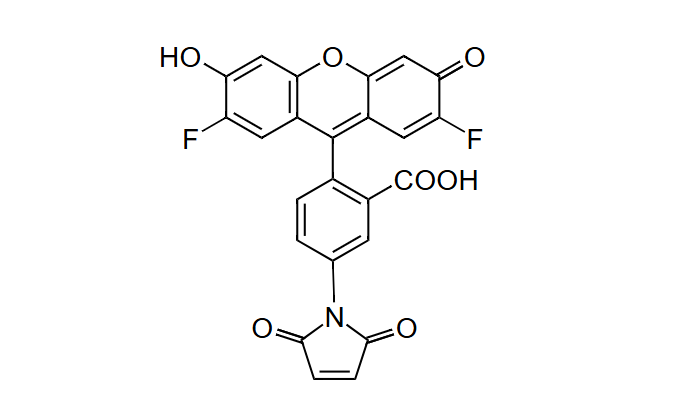 6-OG488-马来酰亚胺，6-OG488 maleimide