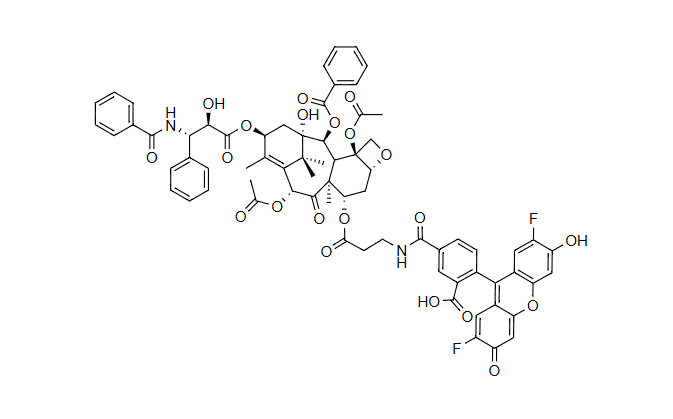 OG488 紫杉醇缀合物，OG488 Taxol Conjugate