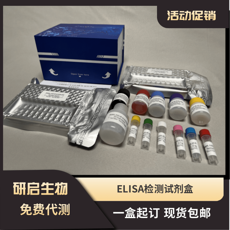 人apelin 13(AP13）ELISA试剂盒