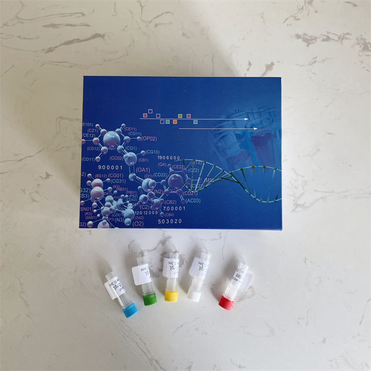 人B细胞淋巴瘤-XL(Bcl-XL）ELISA试剂盒